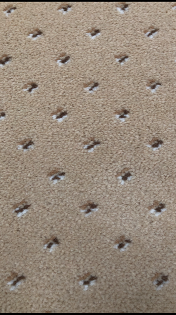 >ULSTER SHERIDEN PINDOT PROVENCALE 